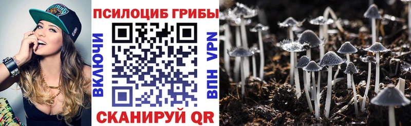 Псилоцибиновые грибы Cubensis  мега tor  Нестеровская 